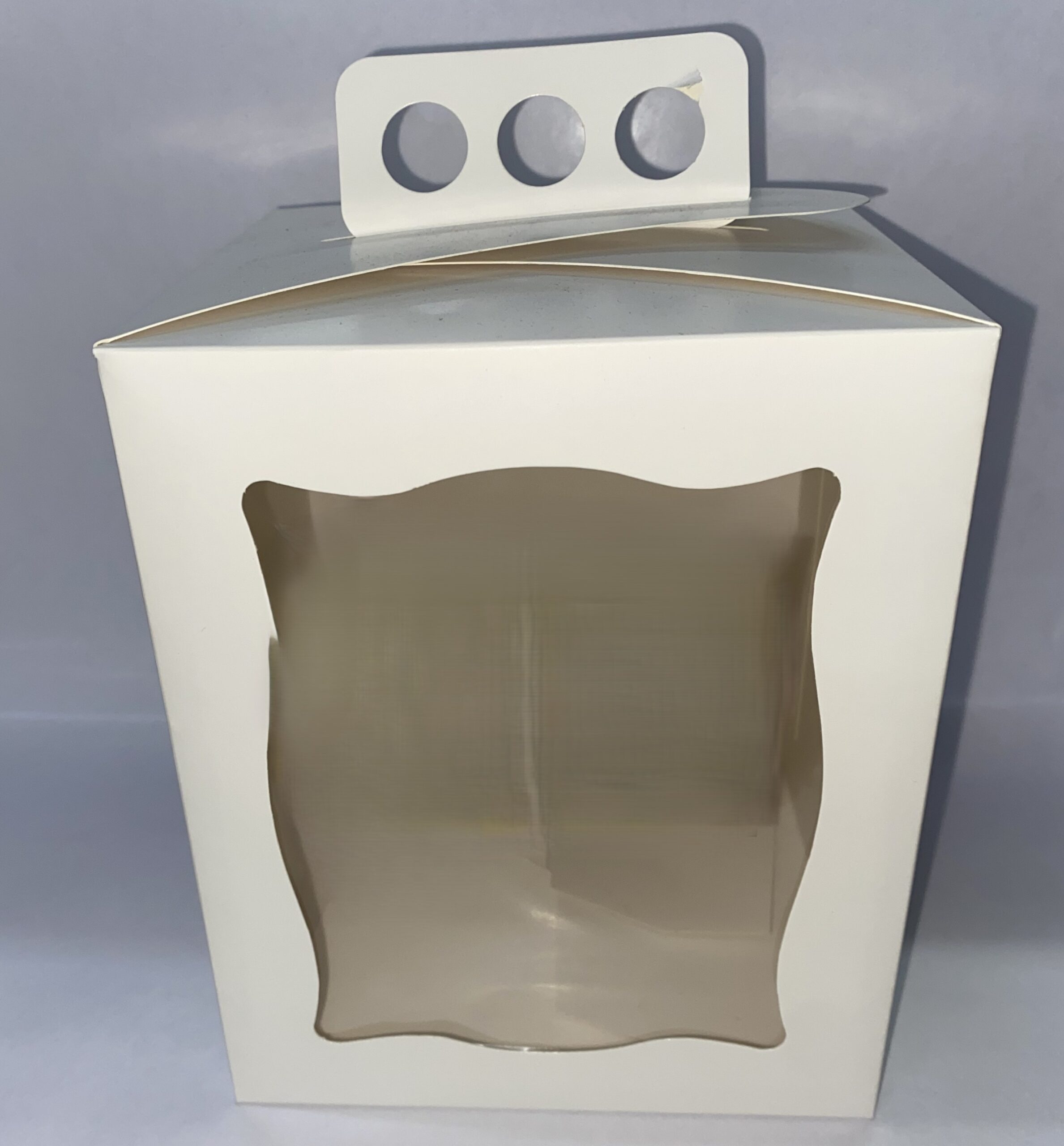 CAJA BLANCA CON VISOR Y MANIJA PARA PAN DULCE