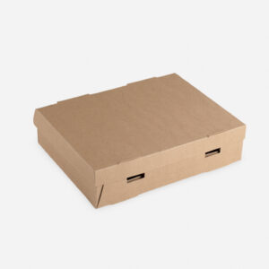 CAJA DELIVERY TIPO DE EMPANADAS CHICA 21 x 13 x 7