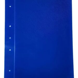 CARPETA CON CORDON PLASTIFICADA LISA A4