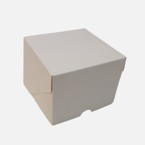 CAJA BLANCA SIN VISOR 12x12x10