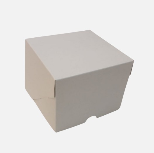CAJA BLANCA SIN VISOR 12x12x10