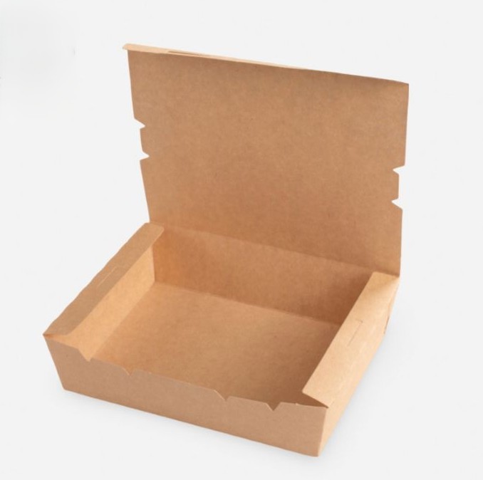 CAJA DE CARTON SIN VISOR 13x17x4.5