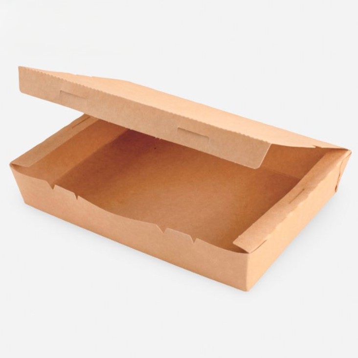 CAJA DE CARTON SIN VISOR 18x25x4.5