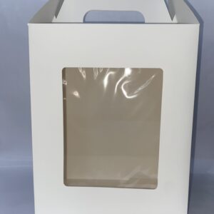 CAJA BLANCA CON VISOR Y MANIJA TIPO MALETIN 25x20x14