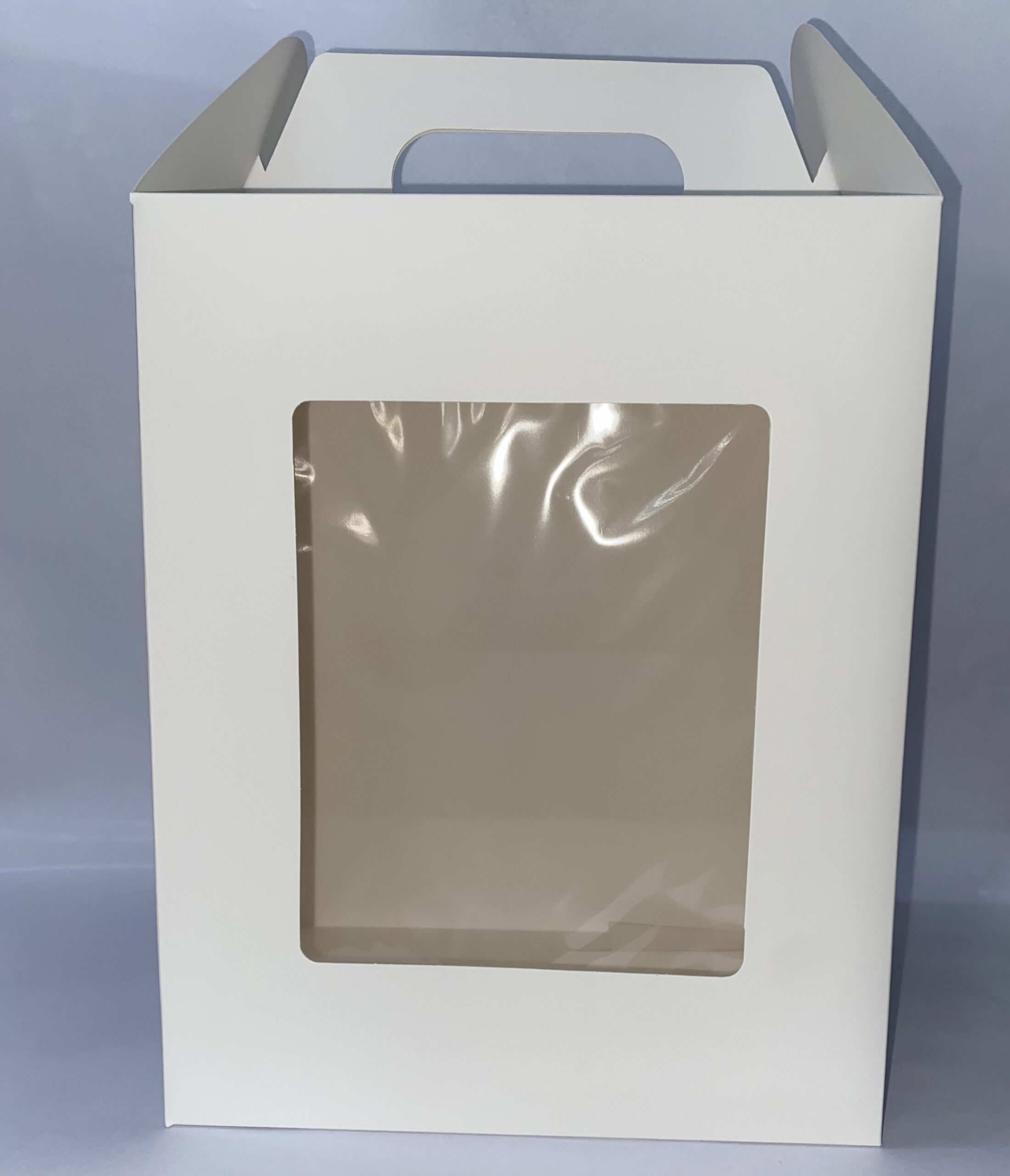 CAJA BLANCA CON VISOR Y MANIJA TIPO MALETIN 25x20x14