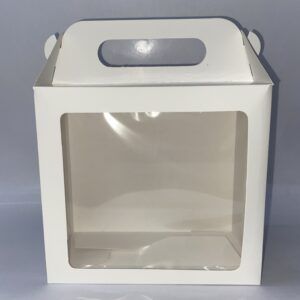 CAJA BLANCA CON VISOR Y MANIJA TIPO MALETIN