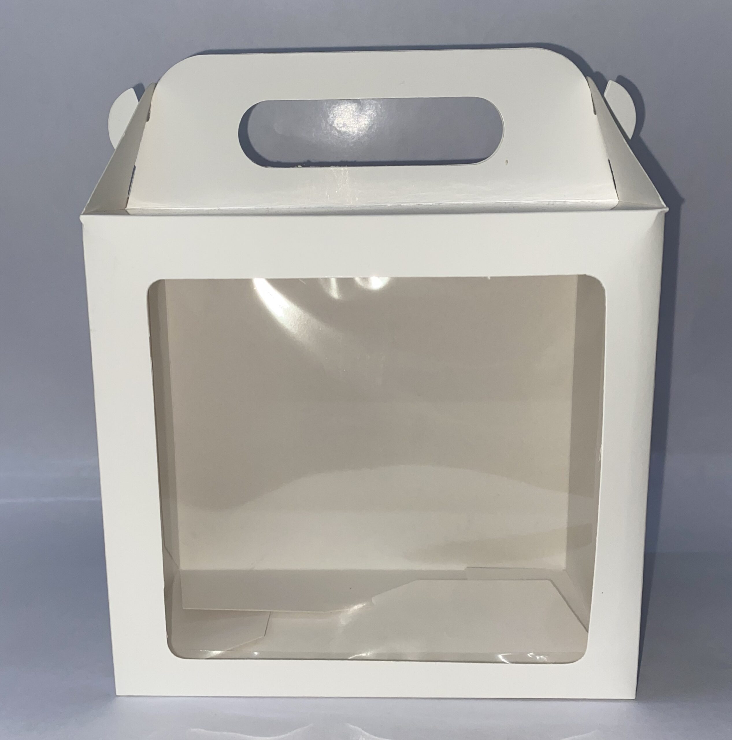 CAJA BLANCA CON VISOR Y MANIJA TIPO MALETIN