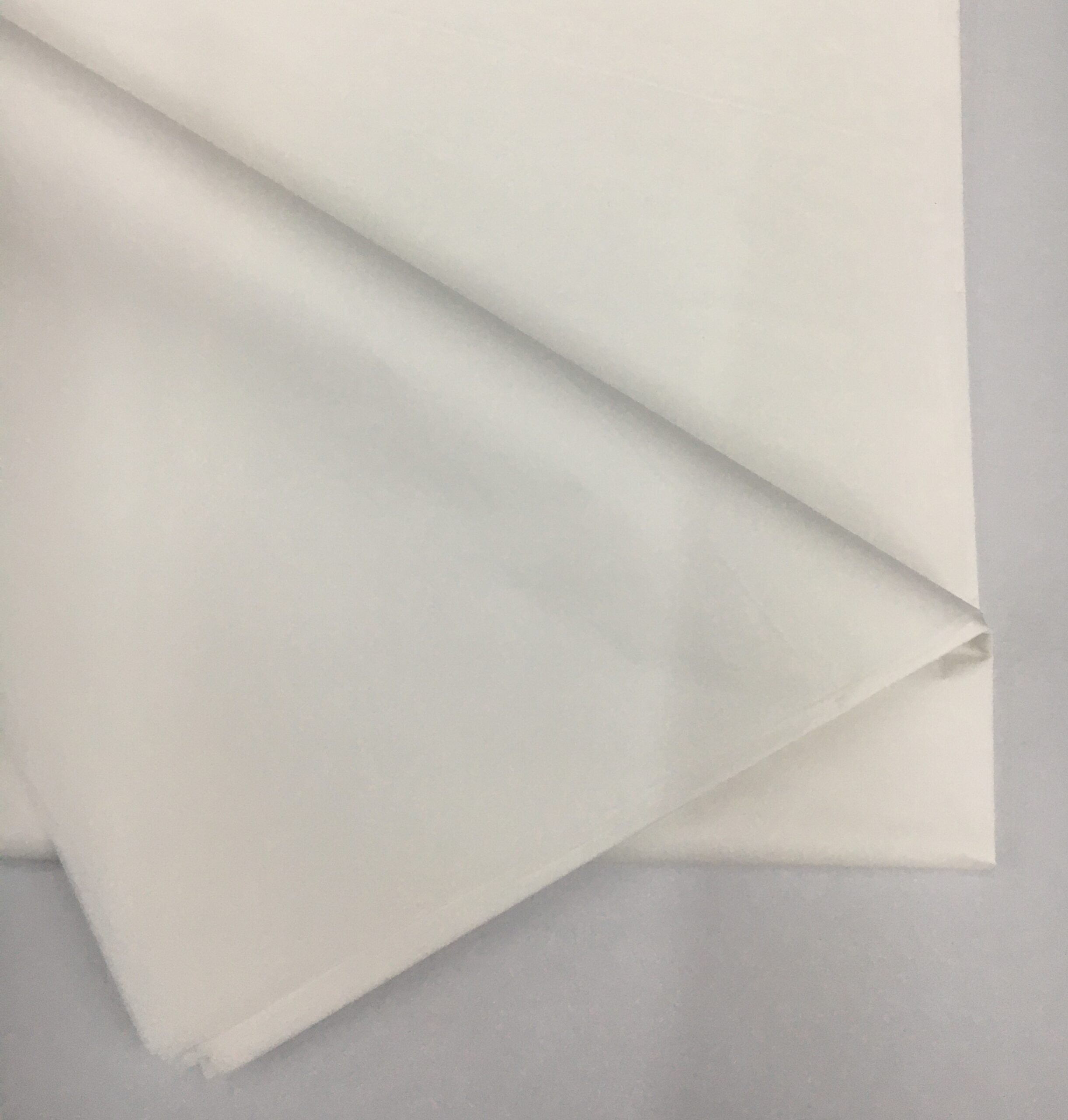 PAPEL SEDA BLANCO x 10 h. (75 x 100)