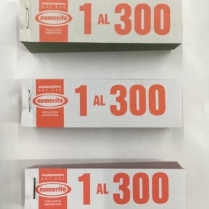 TALONARIO DE NUMEROS 1-300