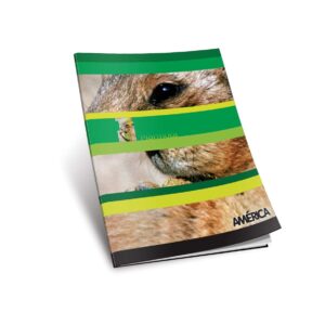 CUADERNO CHICO TAPA FLEXIBLE x 48 h.