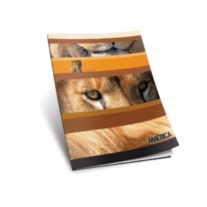 CUADERNO CHICO TAPA FLEXIBLE x 84 h.