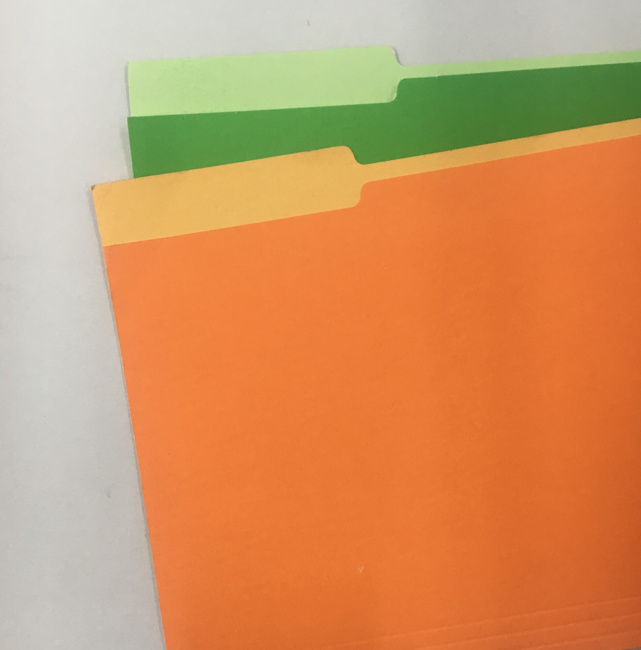 CARPETA INTERNA COLOR NEPACO
