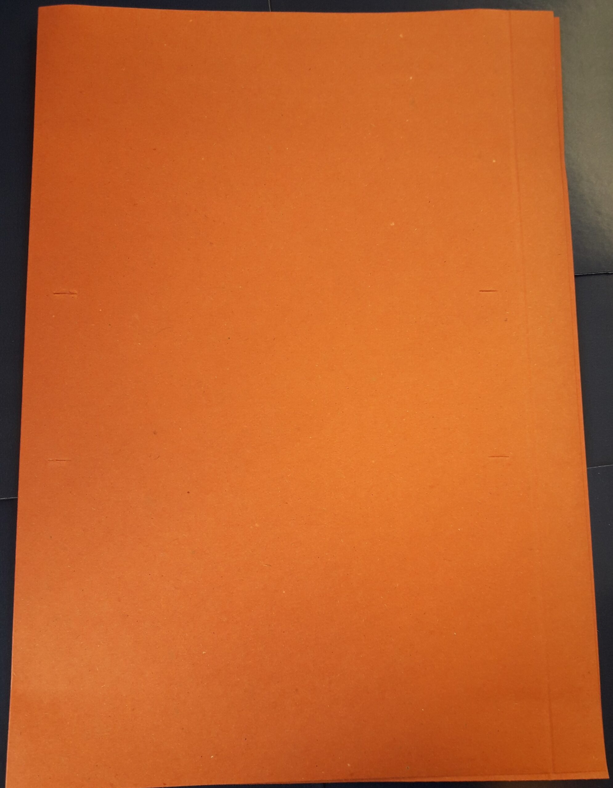CARPETA INTERNA NEPACO