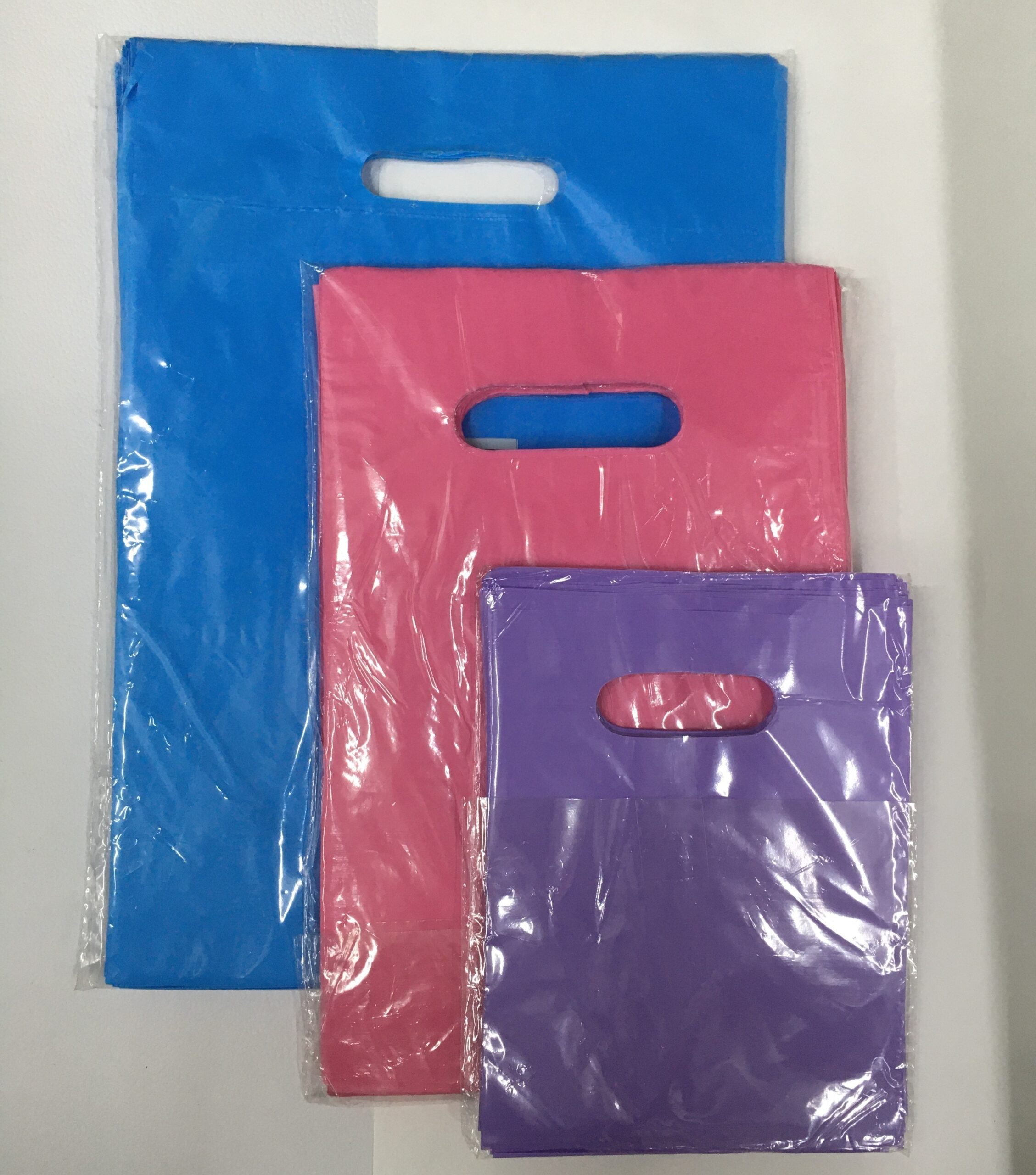 BOLSAS RIÑON A.D. 50 x 60 (x 50 u.)
