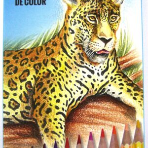 LAPICES DE COLORES LARGOS TRABI x 24