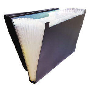 CLASIFICADOR PLASTICO A4
