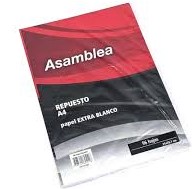 REPUESTO ASAMBLEA A4 x 48 h.