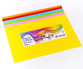 REPUESTO CANSON COLOR LUMA Nº6