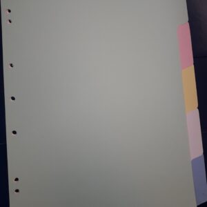 SEPARADORES DE MATERIA DE CARTULINA Nº3 x 5 h.