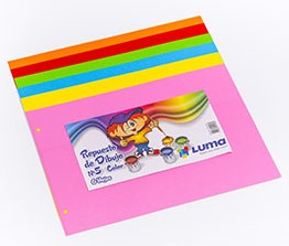 REPUESTO CANSON COLOR LUMA Nº5