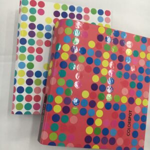 CARPETA PLASTIFICADA A4 2 x 40 FANTASIA