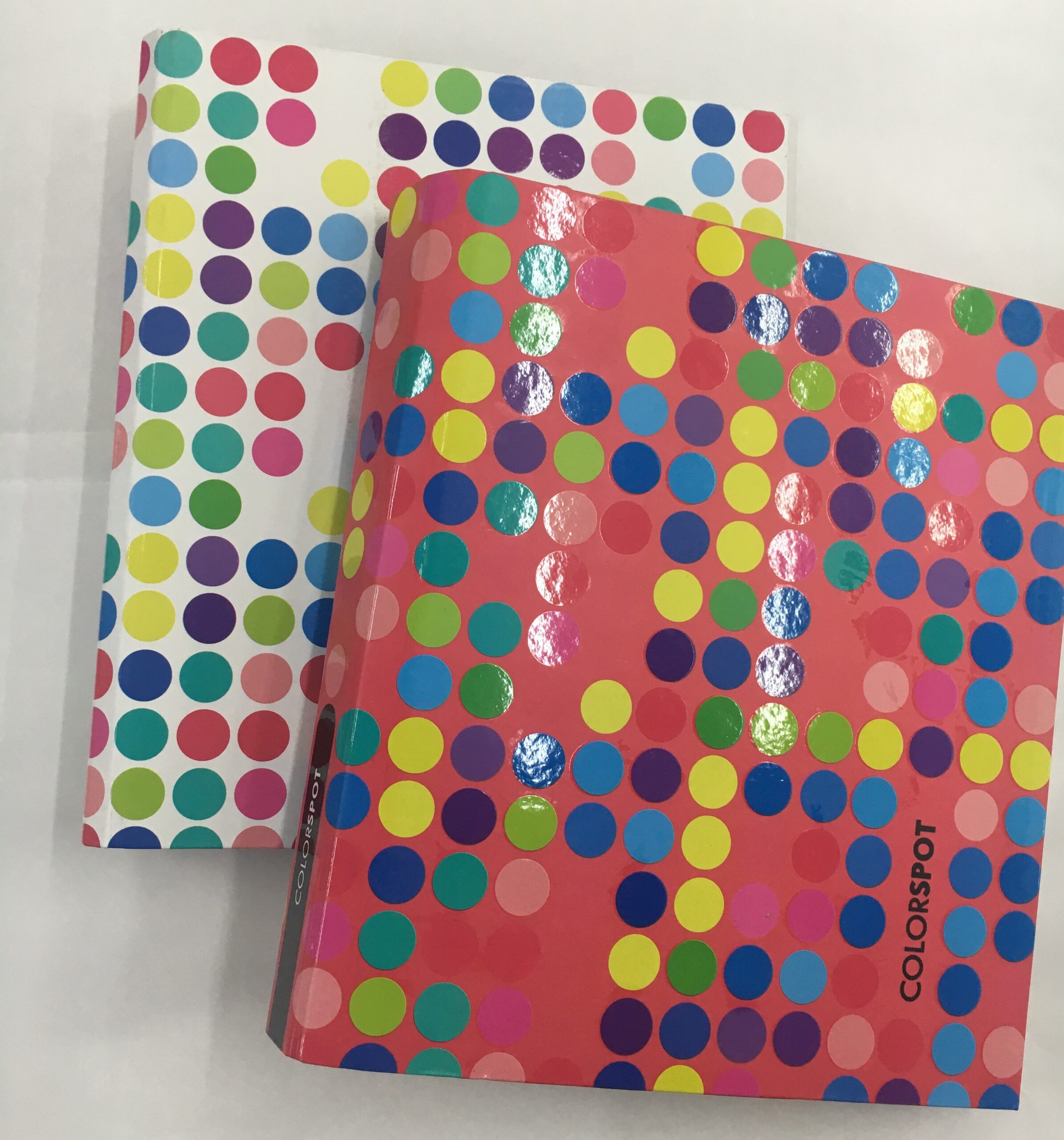CARPETA PLASTIFICADA A4 2 x 40 FANTASIA
