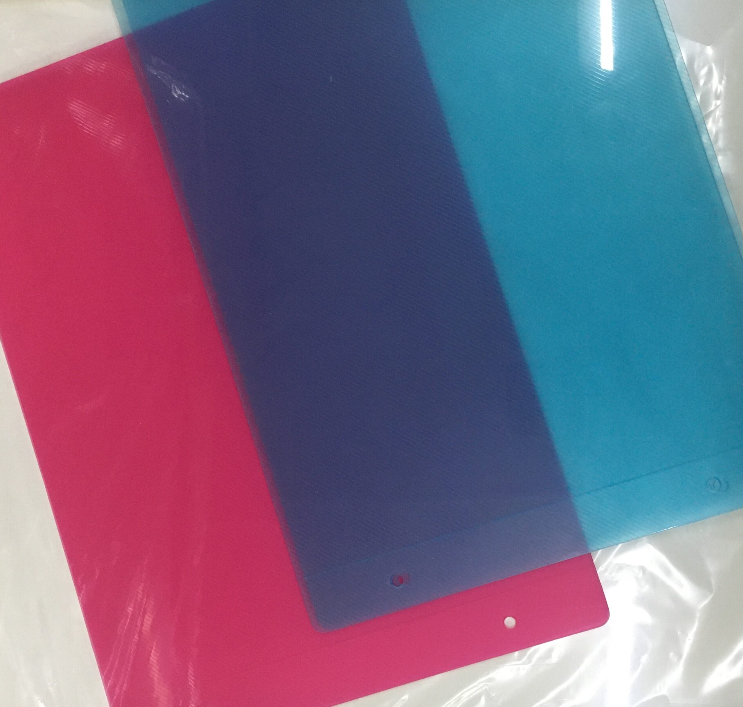 CARPETA CON CORDON PLASTICA Nº5