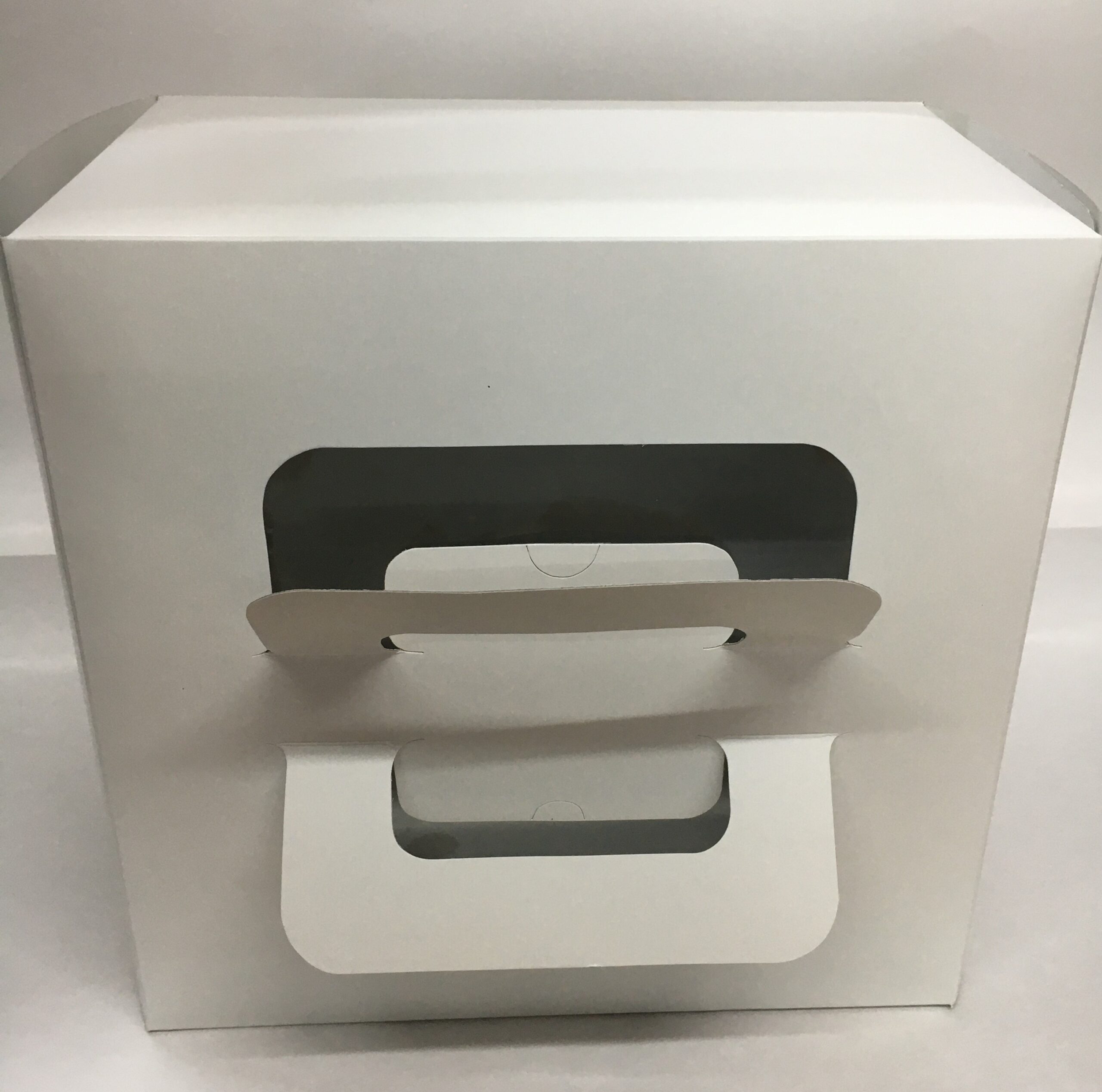 CAJA PARA TORTA CHICA CON MANIJA 25x25x15 cm.