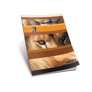 CUADERNO CHICO TAPA FLEXIBLE x 84 h.